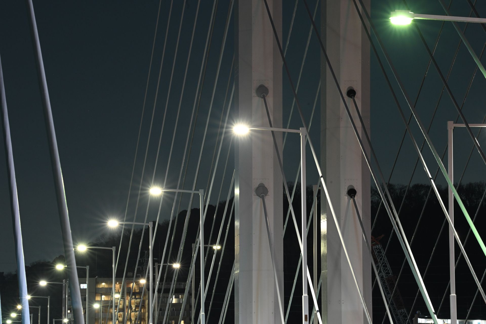 Sample image taken with the original Nikon Z 70-200mm f/2.8 VR S for comparison with the Nikon Z 70-200mm f/2.8 VR S II image