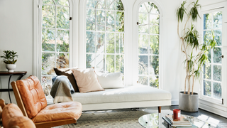 Living room with short and tall plants