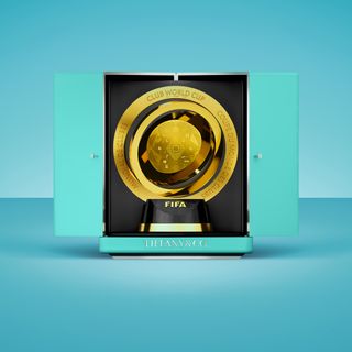 Gold trophy in a Tiffany blue box