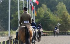 Showing at Addington Manor - - BSHA National Championship Show, 12th-14th September 2014.