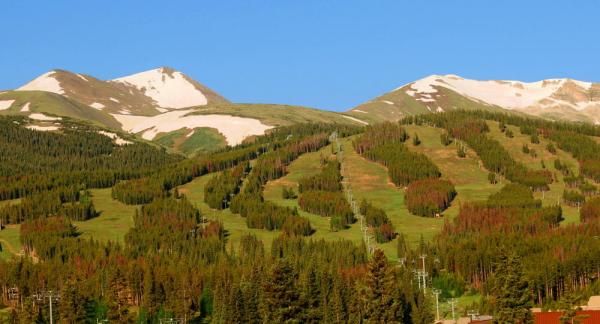 Plenty of snow is above the tree line