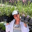 High Country Gardens, Horticultural Manager