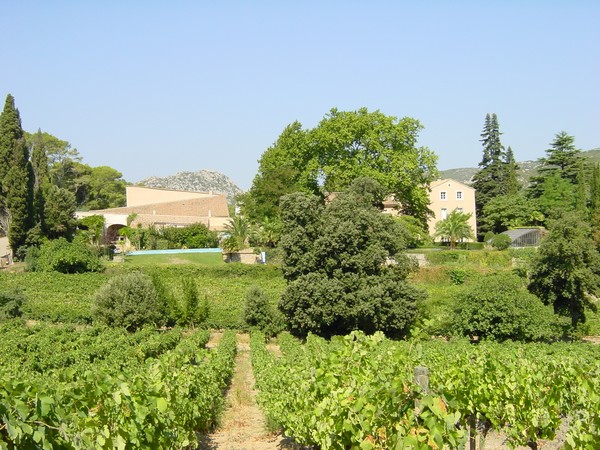 Haut-Gl&Atilde;&copy;on