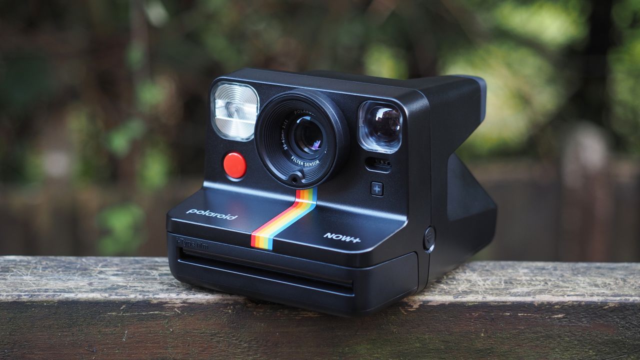 Polaroid Now+ Generation 2 on a wooden surface, in a woodland setting
