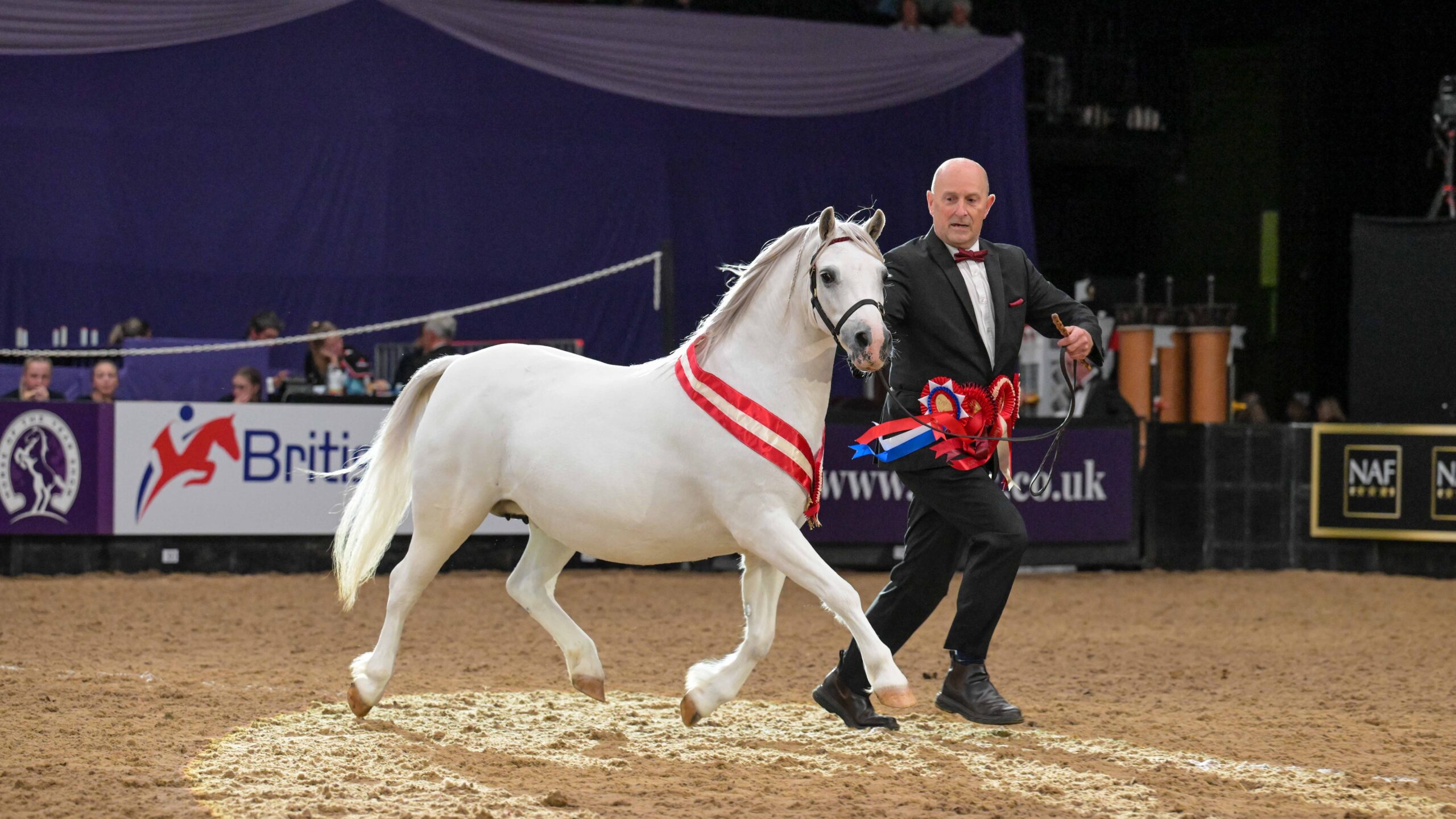 Heniarth Sh-Boom is crowned Price Family Supreme in-hand champion at Horse of the Year Show 2025