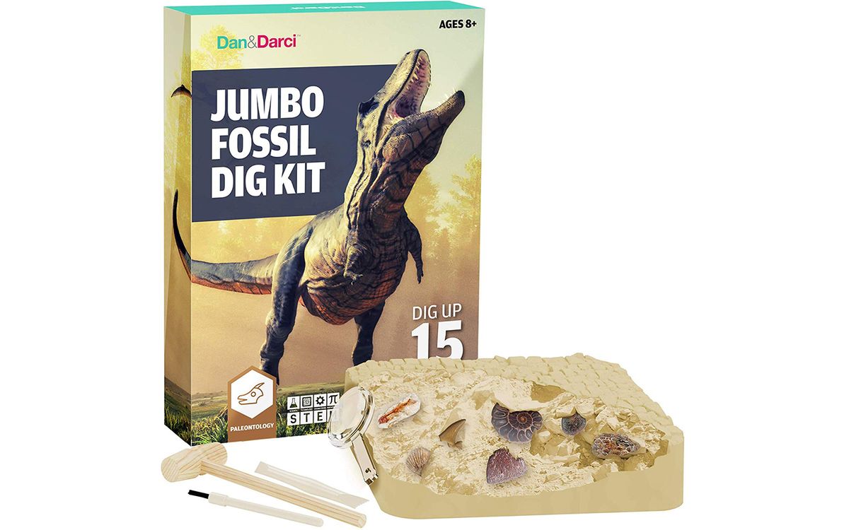 Amazon Prime Day The Best Science Kit Deals Live Science