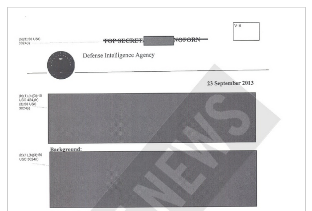 The pages released by the DIA are full of redacted information 