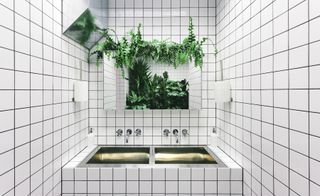 An assemblage of green plants creates a lively pop