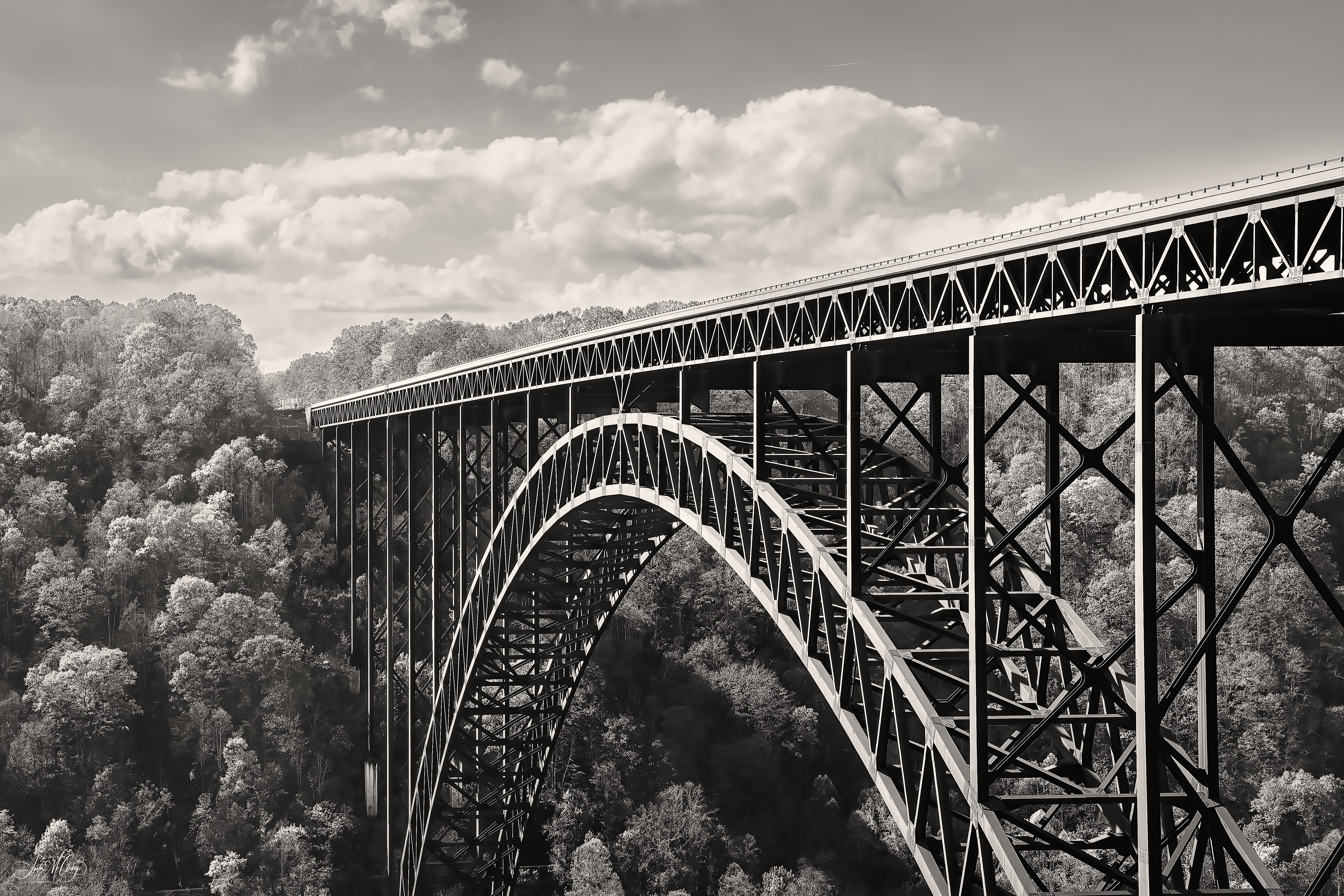 GuruShots - Monochrome Moments Jan 26