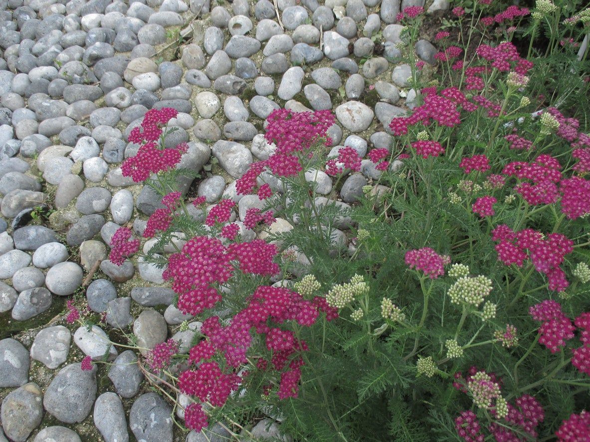 Landscaping Stones In Garden