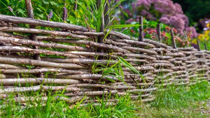 A wattle fence in a garden