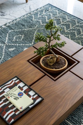 A small houseplant built into a coffee table