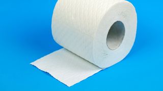 Roll of toilet paper