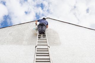 painting a house on a ladder