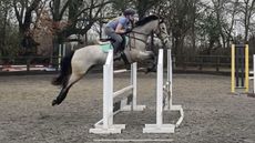 showjumping coronavirus