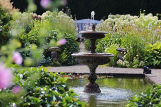 Detail of the gardens at Loseley Park