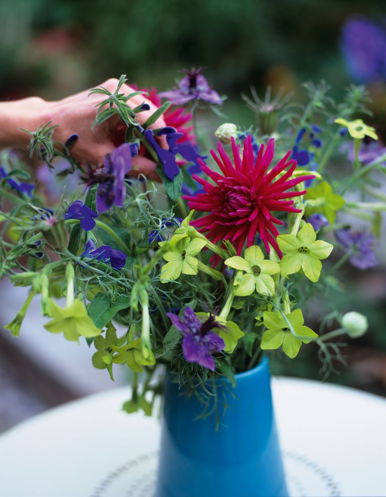 How to start a cut flower garden from the best floral picks to care