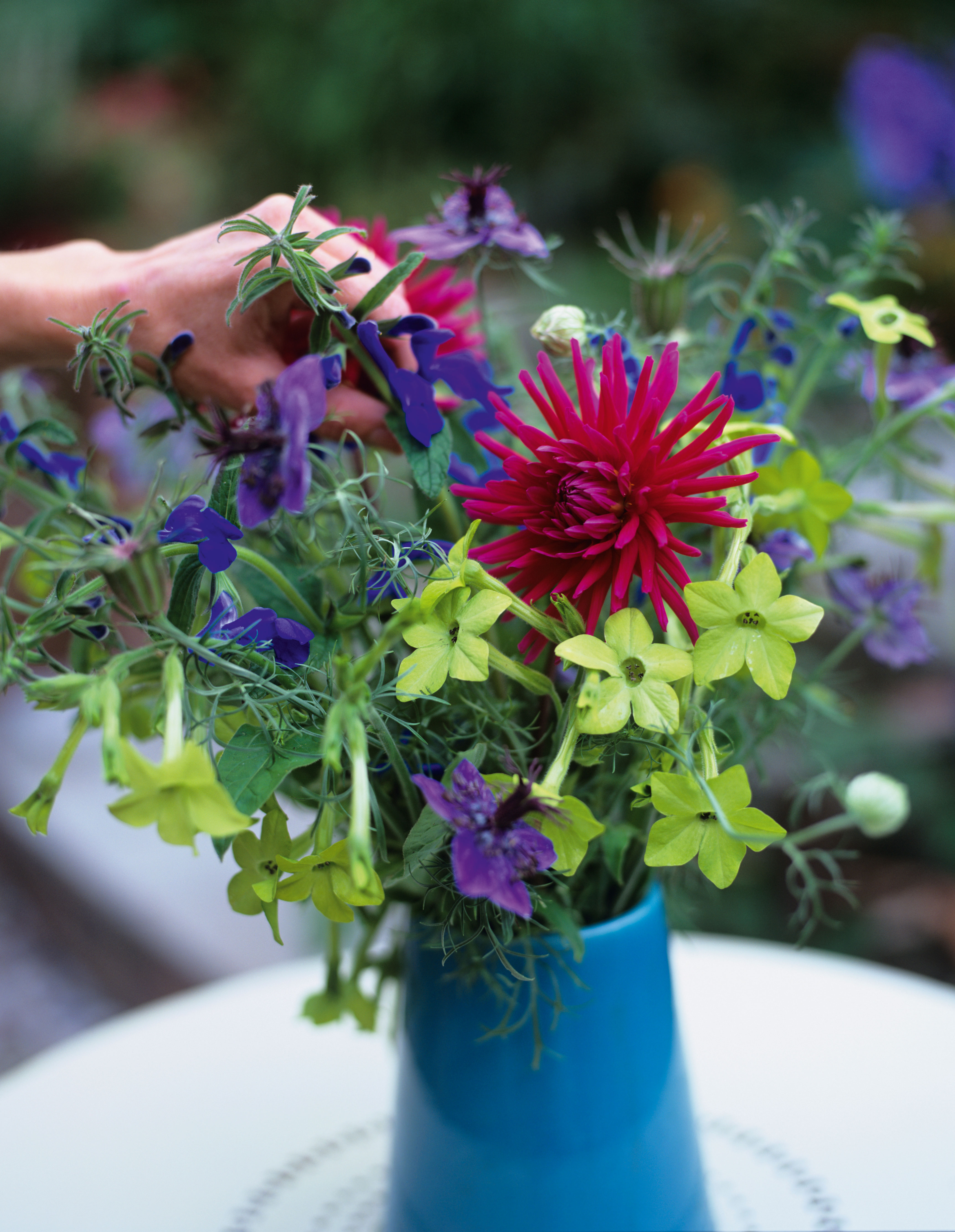 cut flowers in vase