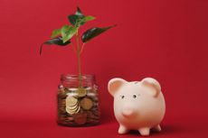 Easy-access savings concept with piggy and coin tree