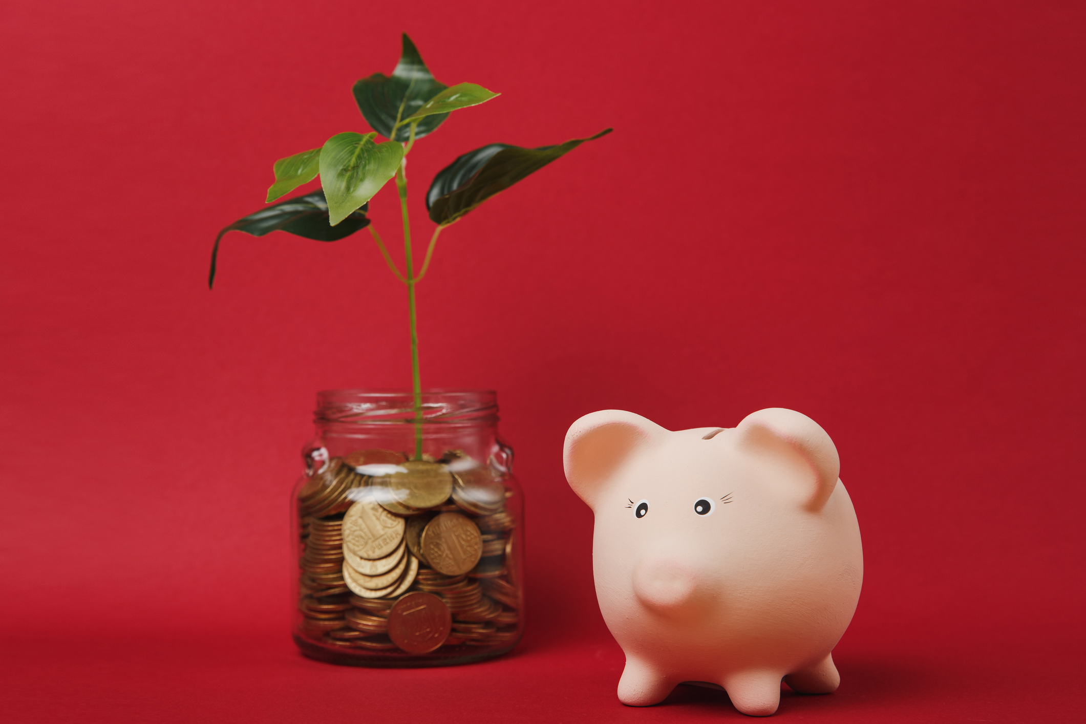 Easy-access savings concept with piggy and coin tree