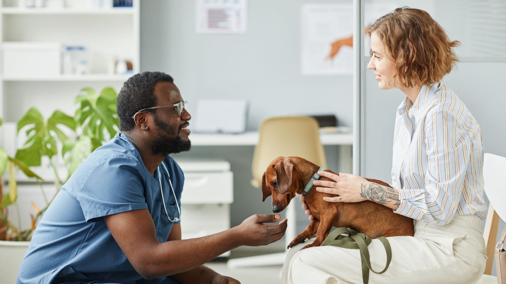 woman sat in waiting area with dog in lap, vet crouching down to give advice