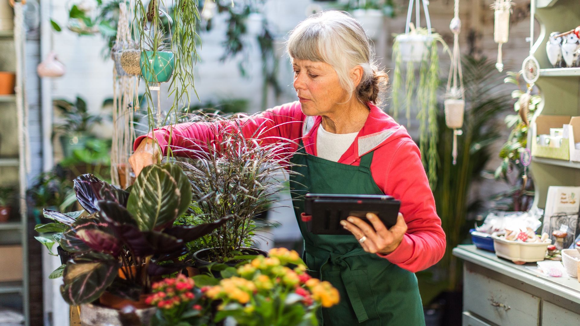 Low-Income and Part-Time Workers