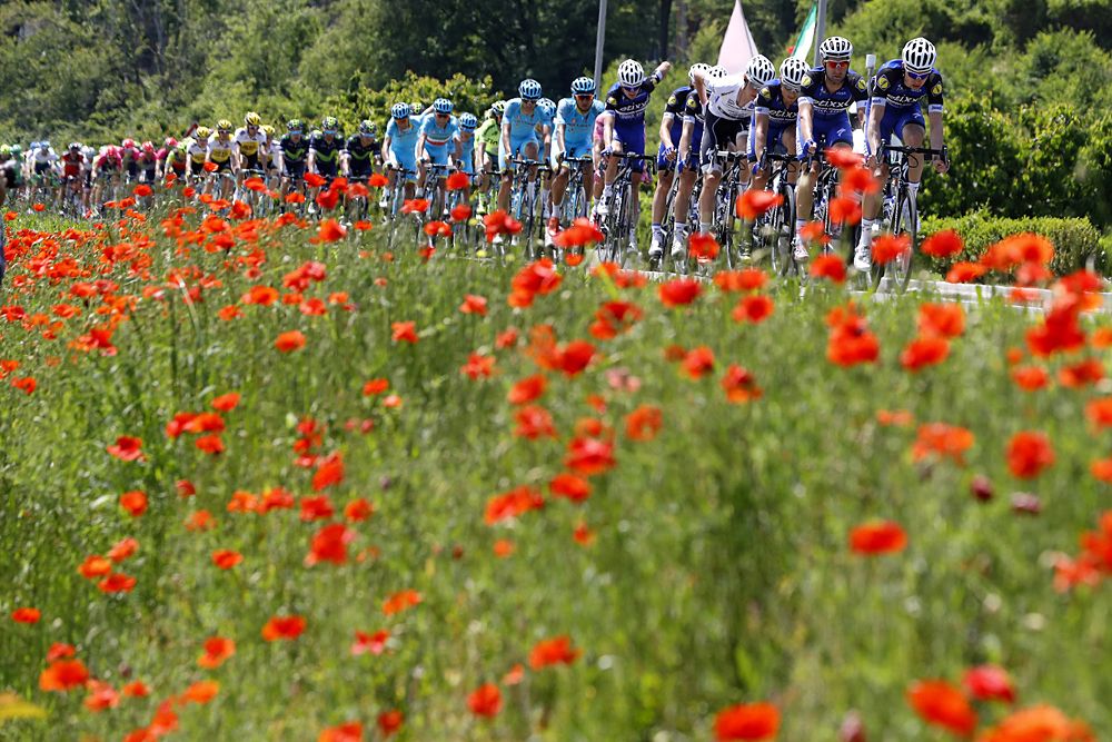 Team Ettix-Quick Step (R) leads the peloton during the 10th stage of the 99th Giro d'Italia