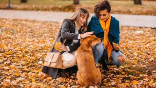 Two women petting dog in park on autumn day