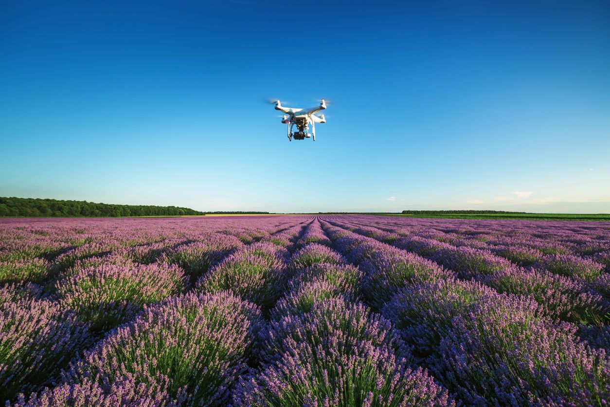 How To Use Drones For Gardening &ndash; Learn About Gardening With Drones