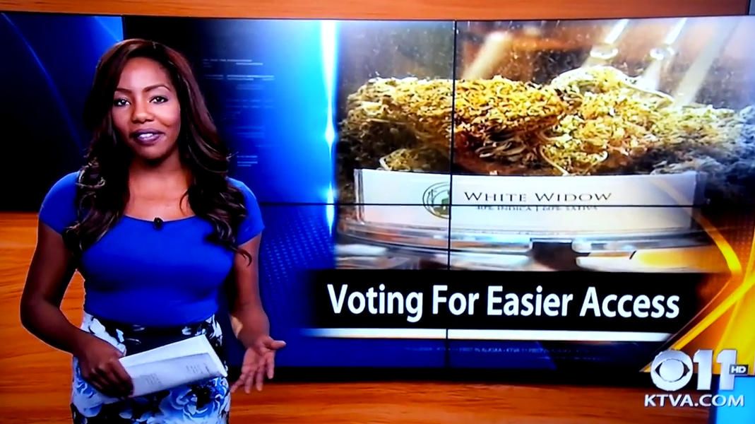 Alaska CBS reporter says &amp;#039;f--k it, I quit&amp;#039; on live TV, after disclosing pot club ownership