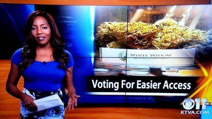 Alaska CBS reporter says 'f--k it, I quit' on live TV, after disclosing pot club ownership