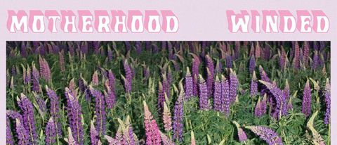 Motherhood: Winded album art
