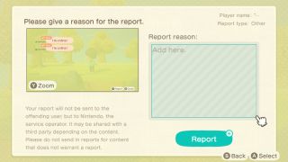 Animal Crossing New Horizons Chat Report Detail
