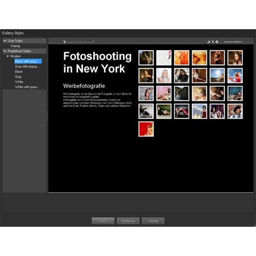 StudioLine Photo Classic lets you share your photos by creating a web gallery.