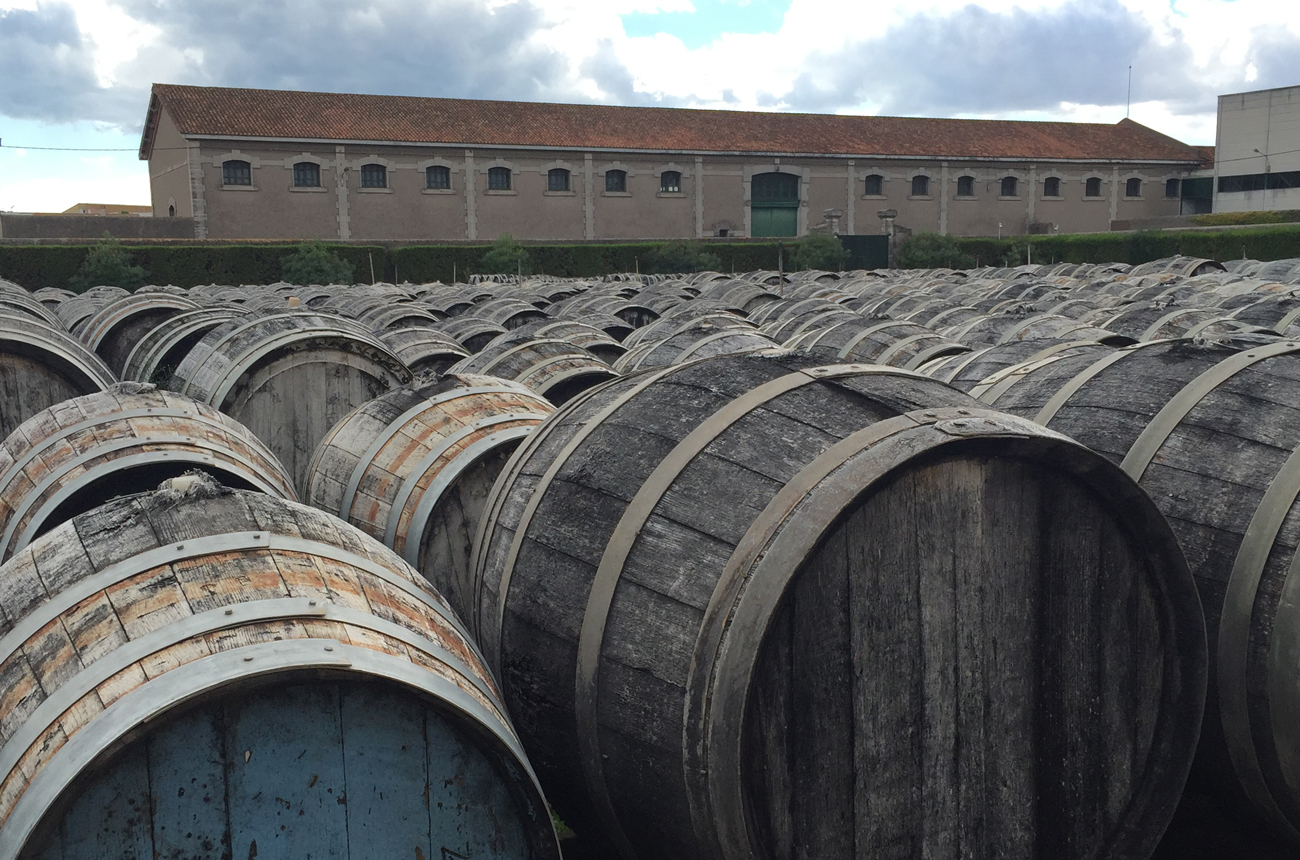 Rows of barrels ageing vermouth in the open air