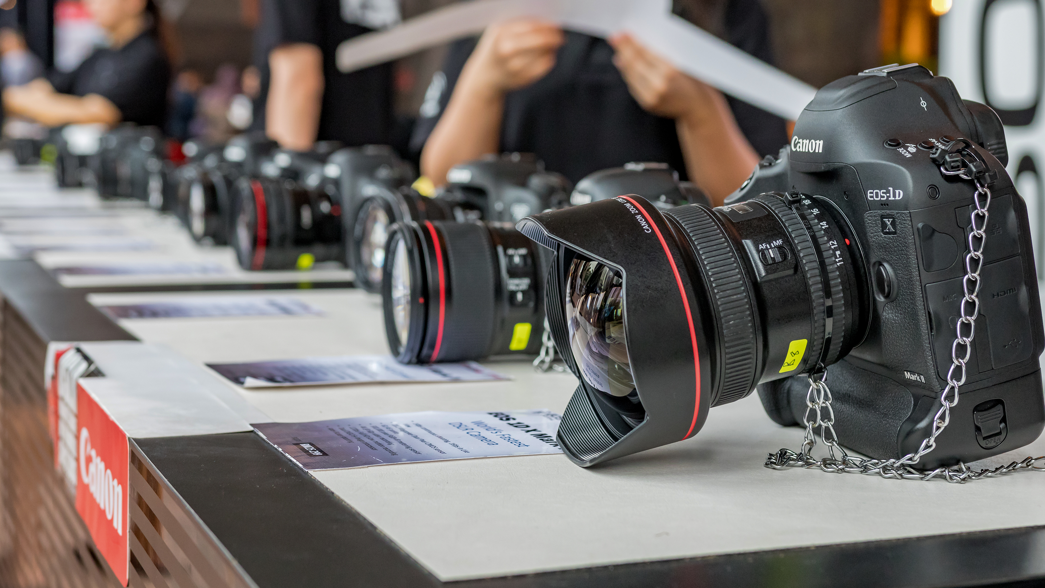 A line of cameras in a camera store