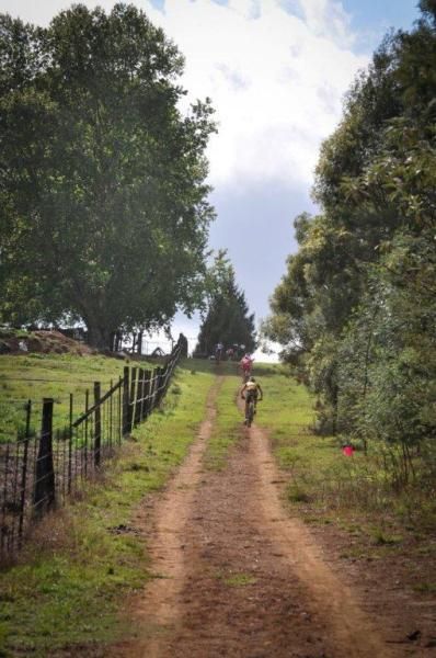 Scenic farmlands in the natal midlands