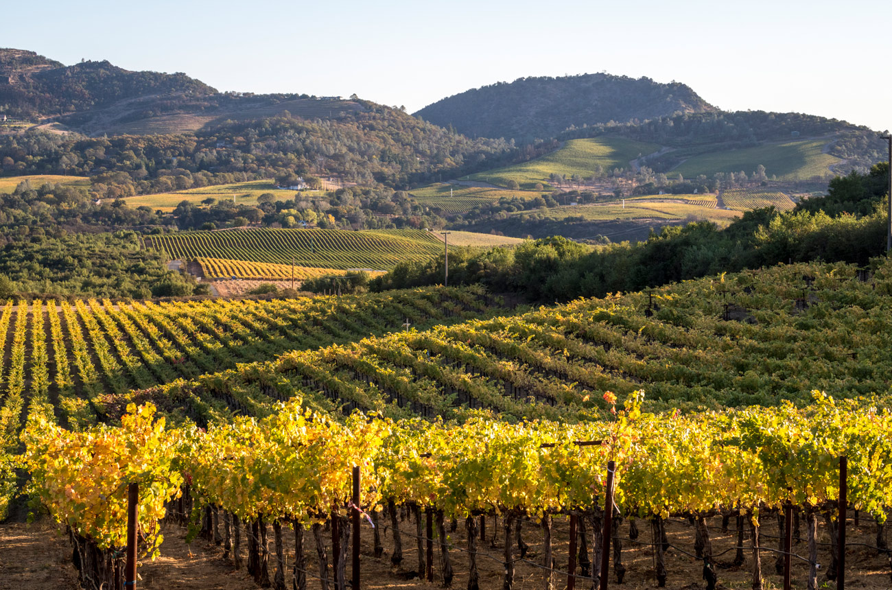 Silver Oak Jump Rock