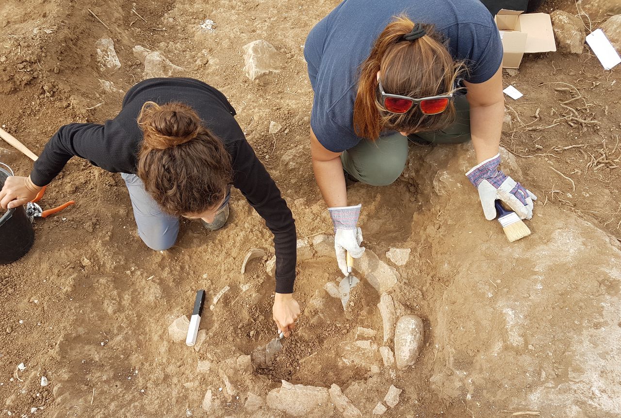 Students from all over Israel helped with the excavation.