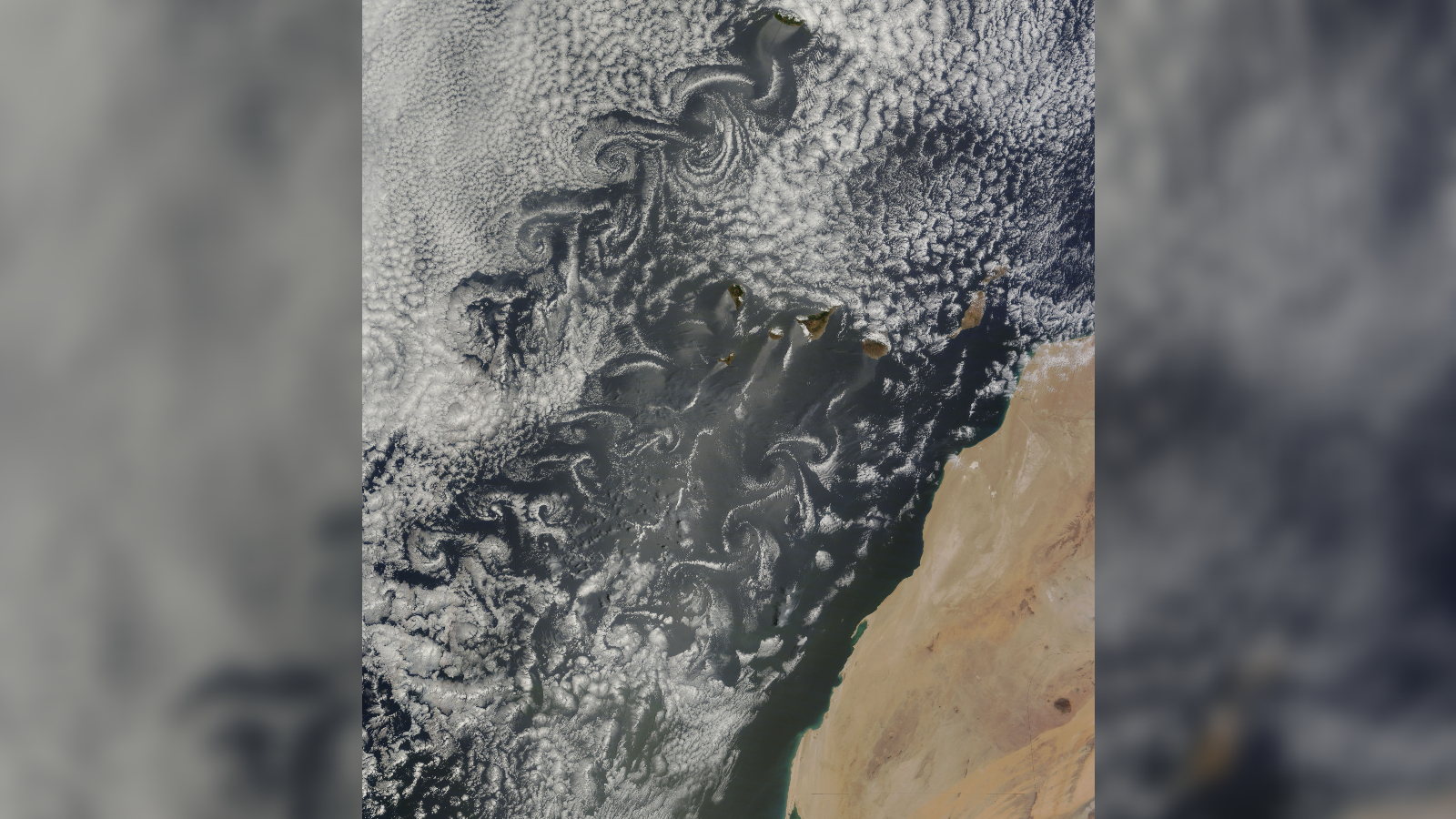 A satellite images of multiple vortices swirling behind islands in the Atlantic Ocean