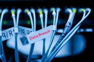 Close up of network cables with data breach label