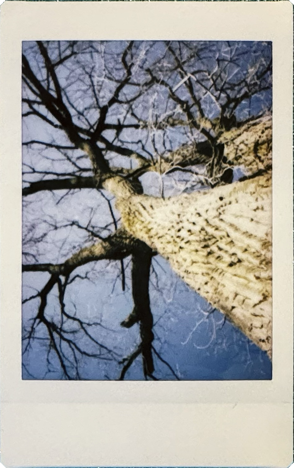 Scanned film images from the Instax Mini 13