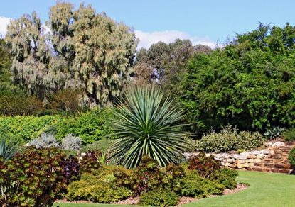 Beautiful Green Plant Garden Full Of Shrubs