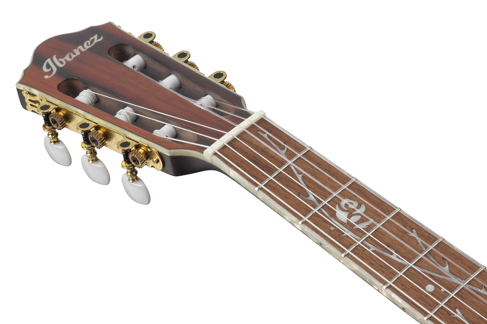 Ibanez Launches Tim Henson Tod10n Signature Nylon String Guitar World