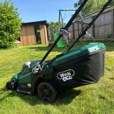 Webb 40V 38cm Rear Roller Lawnmower in garden