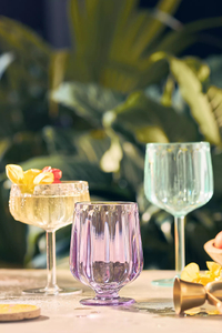 Anthropologie Lucia Acrylic Wine Glasses