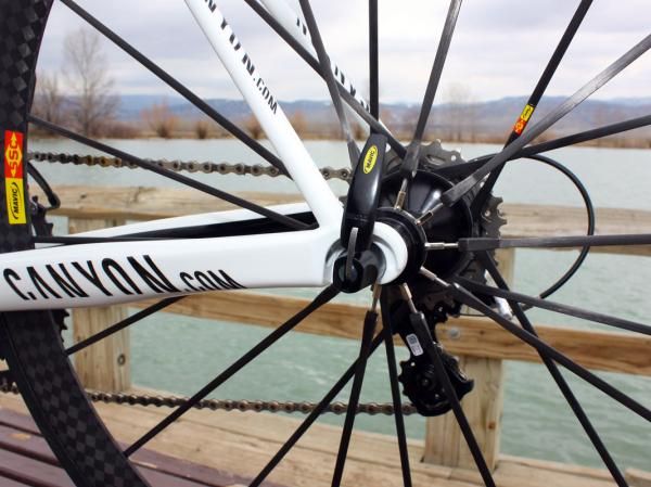 Tidy dropouts leave plenty of room for positioning quick release levers