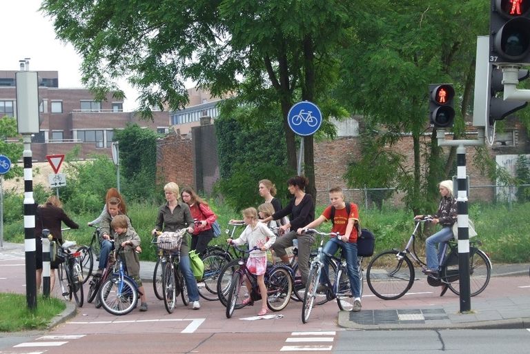 cycling commuter traffic light netherlands