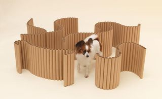 A maze of curved walls constructed from plywood tubes, creating agility play for a small dog.