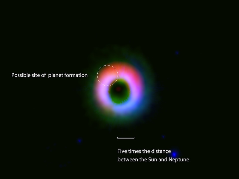 Dust and gas in a protoplanetary disk